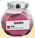 Arandano - Tianjin Tangchao Foods Industry Co., Ltd